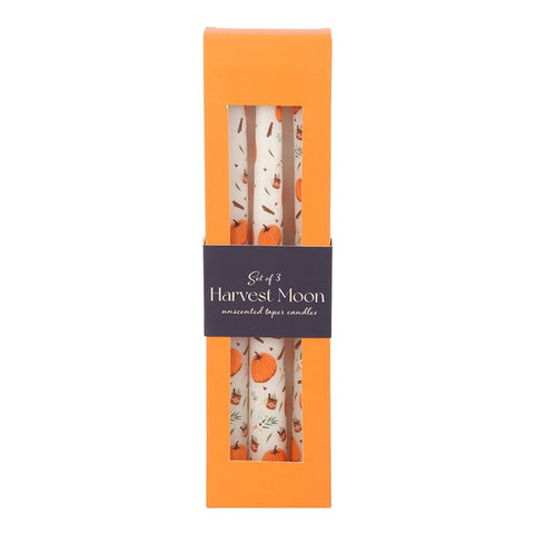 3 Pumpkin Taper Candles
